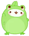 MFrogHey