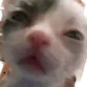 hhuuhwhwhatLost hhuuhwhwhatLost
