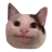 sadpishipoker