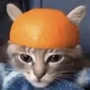 OrangeHead