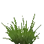 grass_sprite