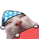 plinkBedge