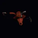 Foxy