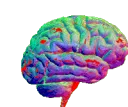 adhdbrain adhdbrain