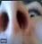 sniff