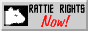 Rattie Rights Now!