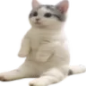 CatFireCampLeft