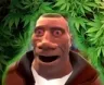 weed weed