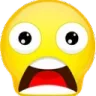 darwin darwin