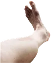 pidgfoot