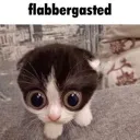 flabbergasted