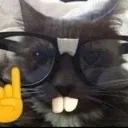 nerdcat