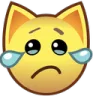 aj_cry Discord Emoji