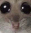 gazeuponthehorrors Discord emoji