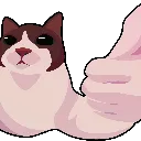 thumbs_up_cat
