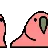 parrot