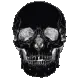 S0_InverseSkull