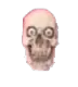 S0_Skullfdjigni