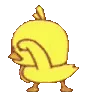 Duck3