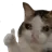 memesadcatthumbs Discord Emoji