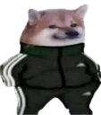 tracksuitDOG Discord emoji