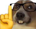 nerd_dog Discord emoji