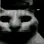 _the_horror