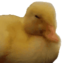 DuckySadNu Discord Emoji