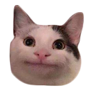 :__: