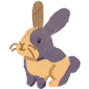 bunnysassy