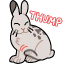 bunnythump