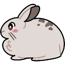 bunnyloaf