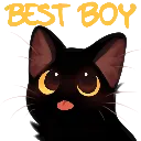 bestboykitty