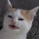 Ew