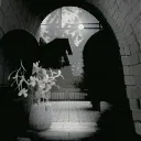 hollow