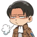levi