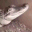 corcodile