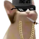 popcatsweg Discord Emoji