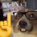 nerdpoint