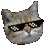 coolcat