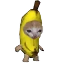Bananacat bananacat Discord Emoji
