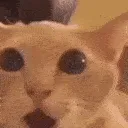 g_holyfweak