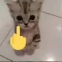 d_catfuckyou Discord Emoji