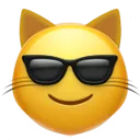 1_coolcat