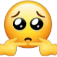 shy