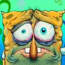 spongydisappoint