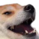 0_