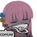BocchiCopium BocchiCopium