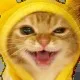 CatSmile