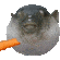 J_CarrotFish Discord Emoji